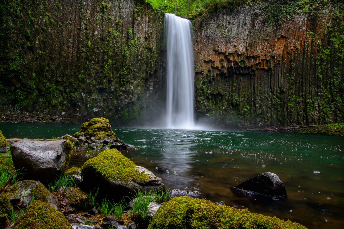 A waterfall cascading down mossy rocks in a lush green forest