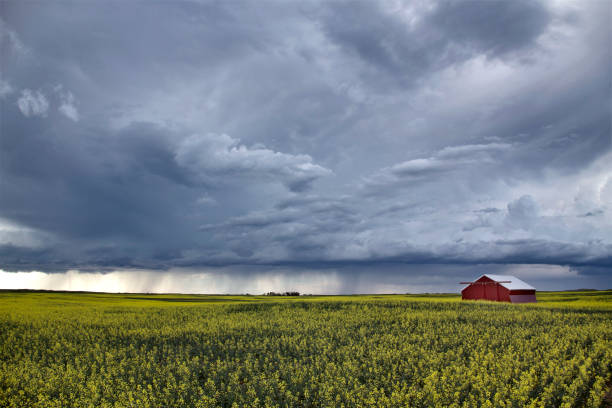 A dramatic storm cloud rolling over a flat midwestern prairie at sunset